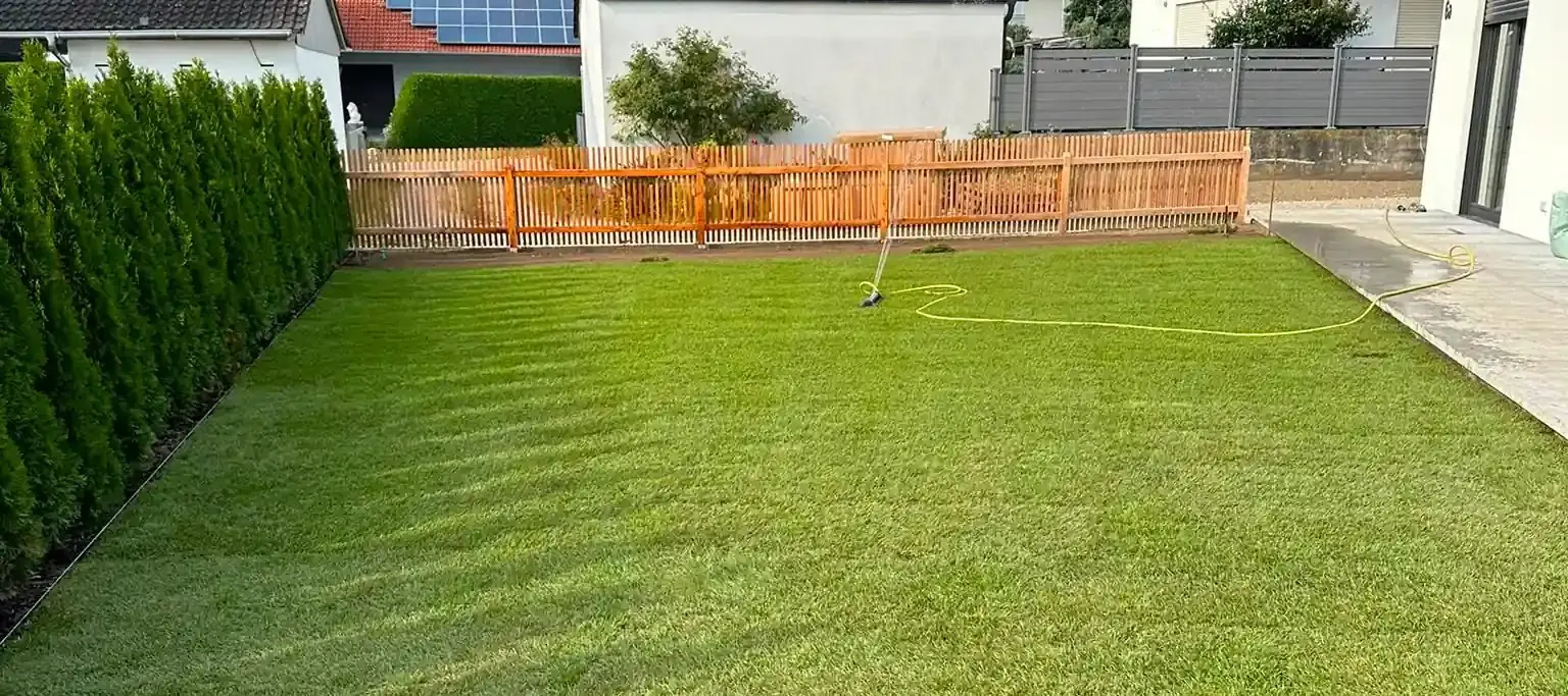 Fertig angelegter Privatgarten mit frisch verlegtem Rasen, Thujahecke und Holzzaun